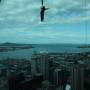 Nouvelle-Zélande - Auckland depuis la Sky Tower - saut à l