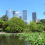 Australie - Botanic gardens