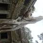 Cambodge - 