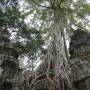 Cambodge - 
