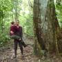 Amazonie (1/2) : Dans la jungle,...