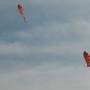 Chine - Deux autres cerfs-volants " poissons volants"