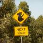 Australie - Premier panneau Koala
