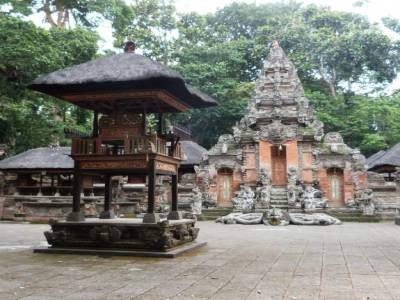 Monkey forest