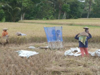ubud