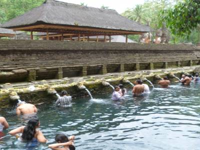 holy springs