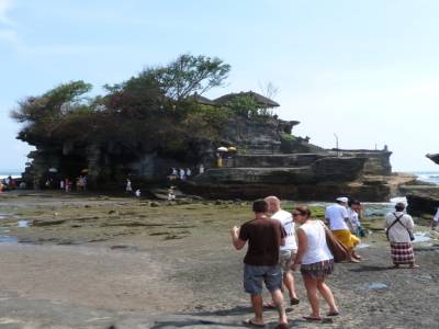 Tanha lot