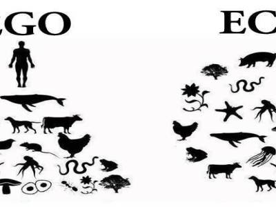 Ego - Eco