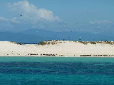 Michaelmas Cay