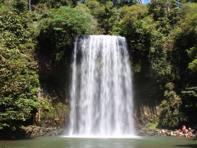 Millaa Millaa Falls