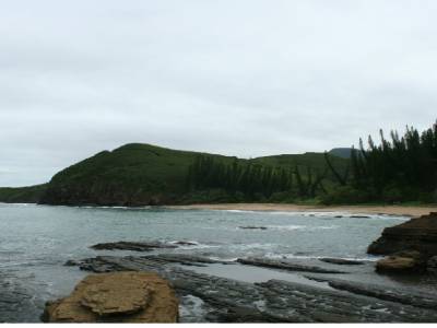 la baie des tortues