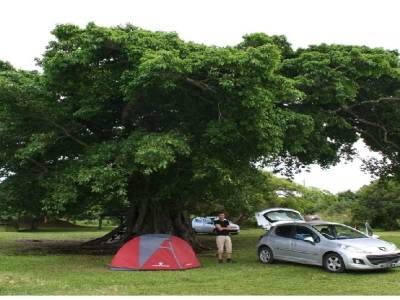 en mode gitans sous un baobab?!