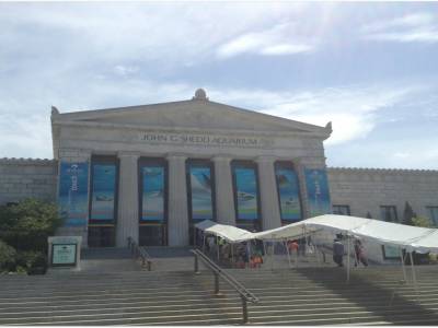 Shedd Aquarium