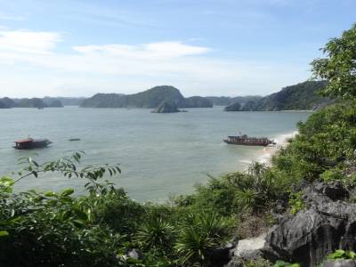 monkey island