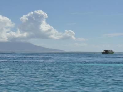 Moorea se dévoile