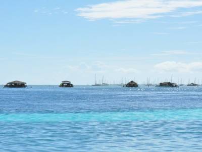 "bateaux-maisons", de sortie le week-end
