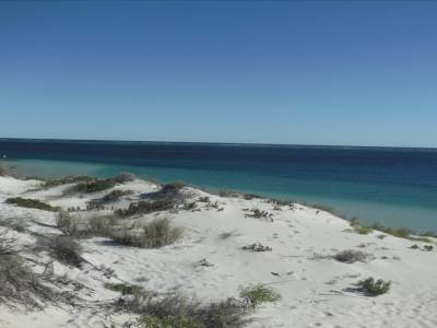 Coral Bay