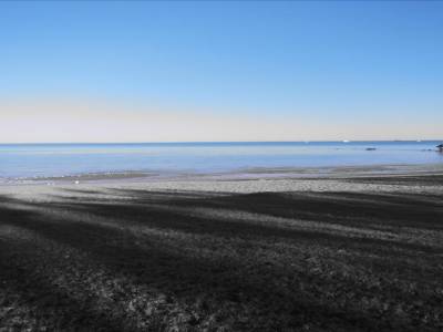 Broome