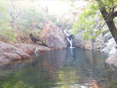 Kakadu
