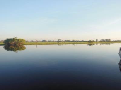 Kakadu