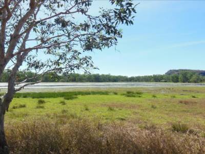 Kakadu