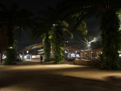 Night Safari