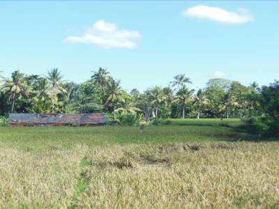 Ubud