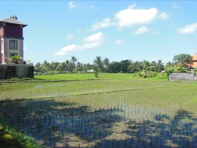 Ubud