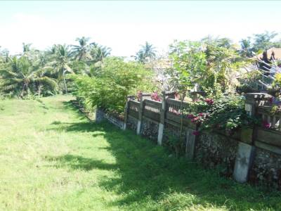Ubud