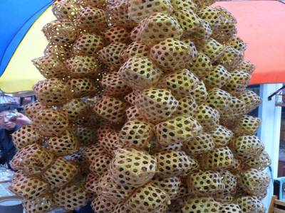 marche aux grillons et insectes