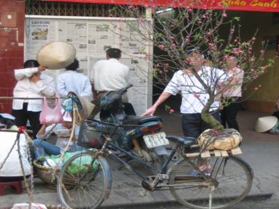Chuc Mung Nam Moi