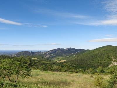 les dentelles