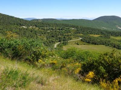Vers Laborel
