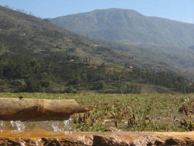 Ingenieux systeme d'irrigation