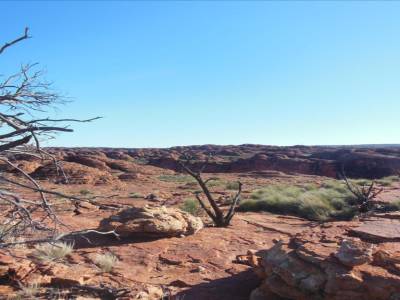 Kings Canyon