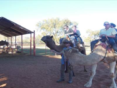 Camel Farm