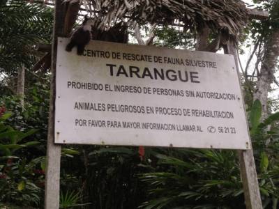 Zonie débarque à Tarangué