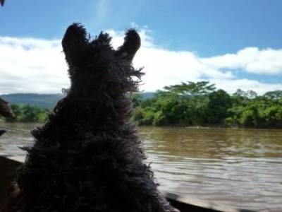 Zonie en Pirogue