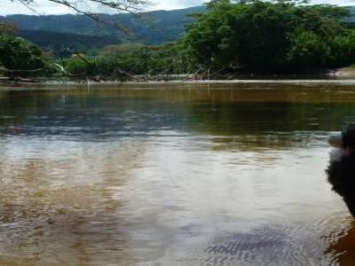 Zonie au rio