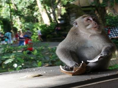 Merci mon dieu pour cette coconut!