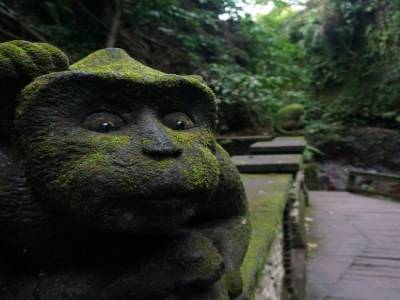 Monkey Forest