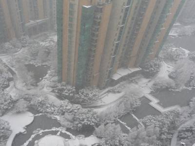 SH sous la neige