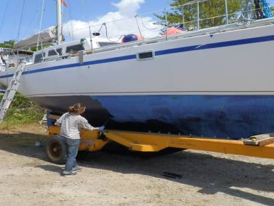 Antifouling