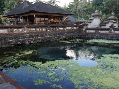Source de Tirta Empul (Tampaksiring)