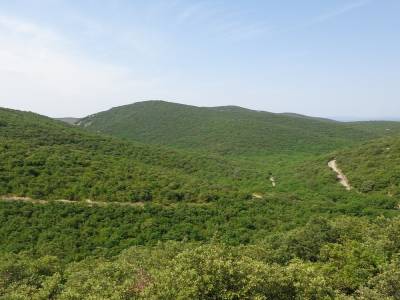 ma route  pres de Fons sur lussan