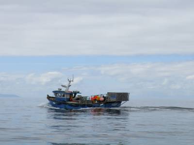 Bateau de pêche