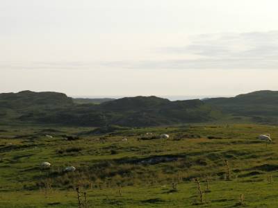 Colonsay