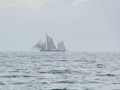 Vieux gréement