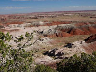 painted desert
