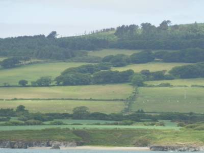 L'Irlande : Pays agricole